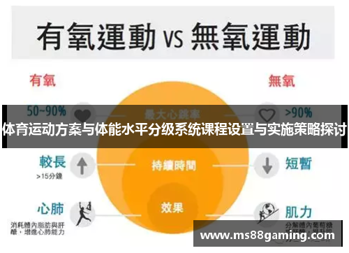 体育运动方案与体能水平分级系统课程设置与实施策略探讨