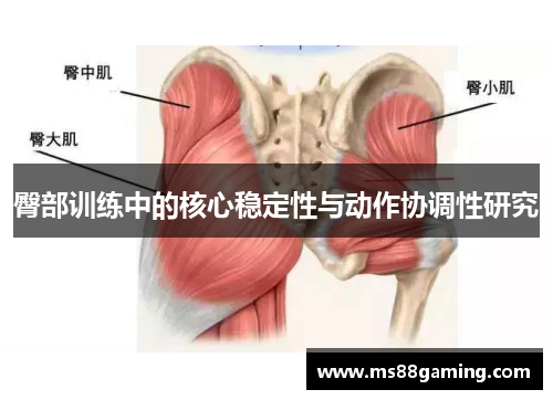 臀部训练中的核心稳定性与动作协调性研究